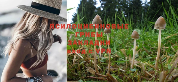 шишки Бронницы