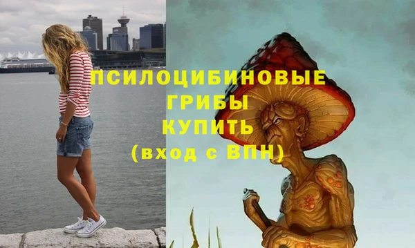 метамфетамин Богородицк
