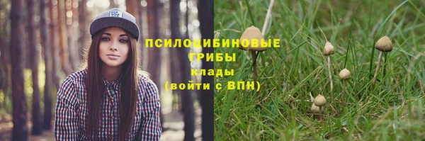 метамфетамин Богородицк