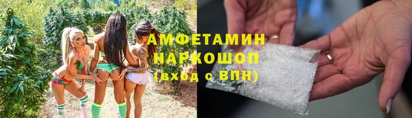 твердый Бородино