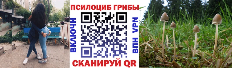 Псилоцибиновые грибы мицелий  Купить  Ревда 